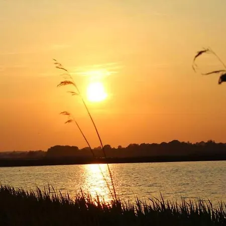 Hausboot Auf Der Schlei Viking-hausboot Missunde